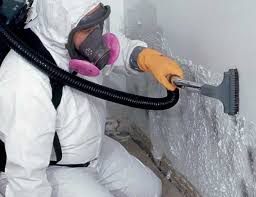 Best Biohazard Mold Removal in Pilot Point, TX